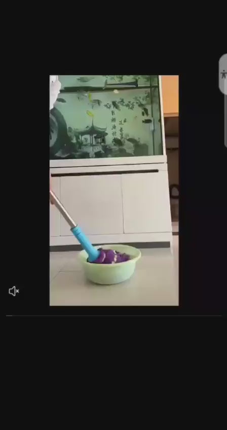 Wringing Mop (Instant Pickup)